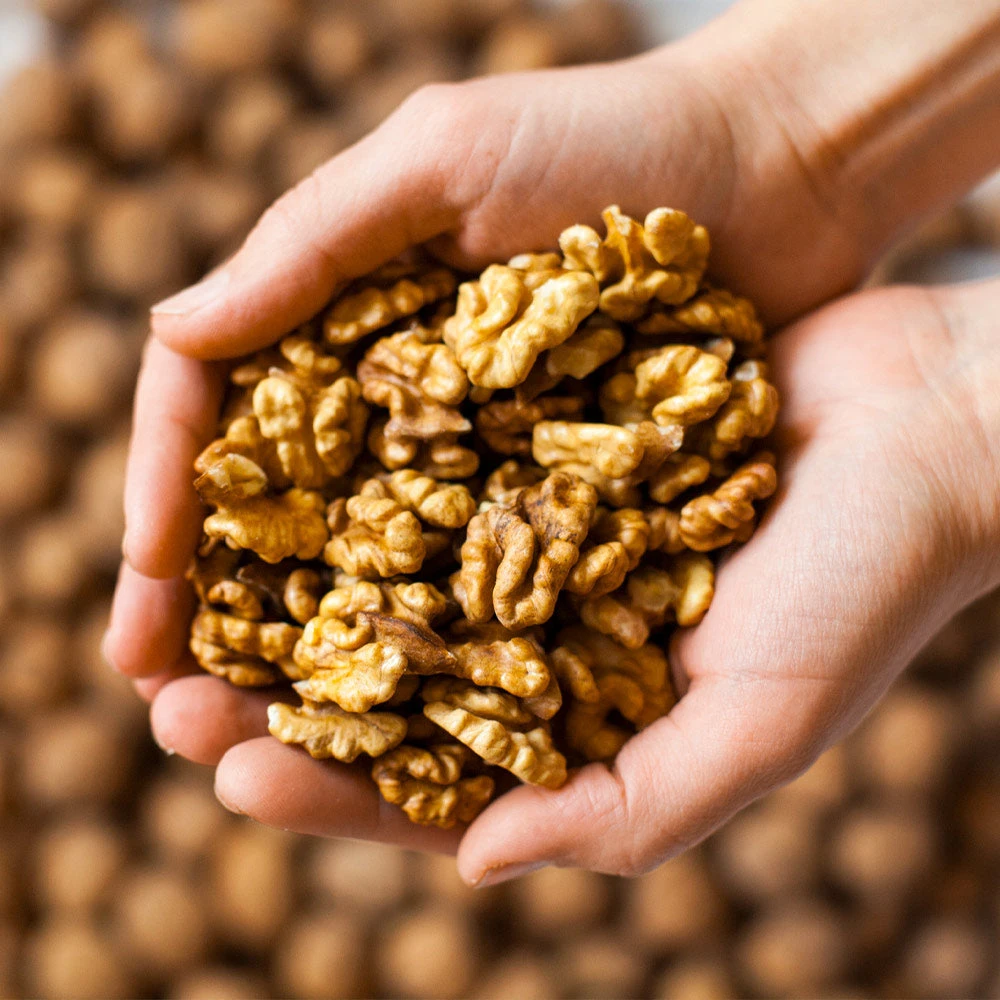 Chandler Walnut Tree - Image 4