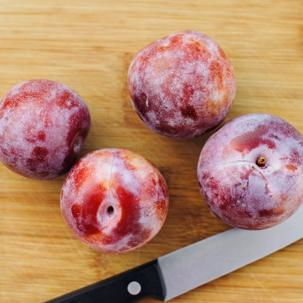 Dapple Dandy Pluot Tree - Image 3