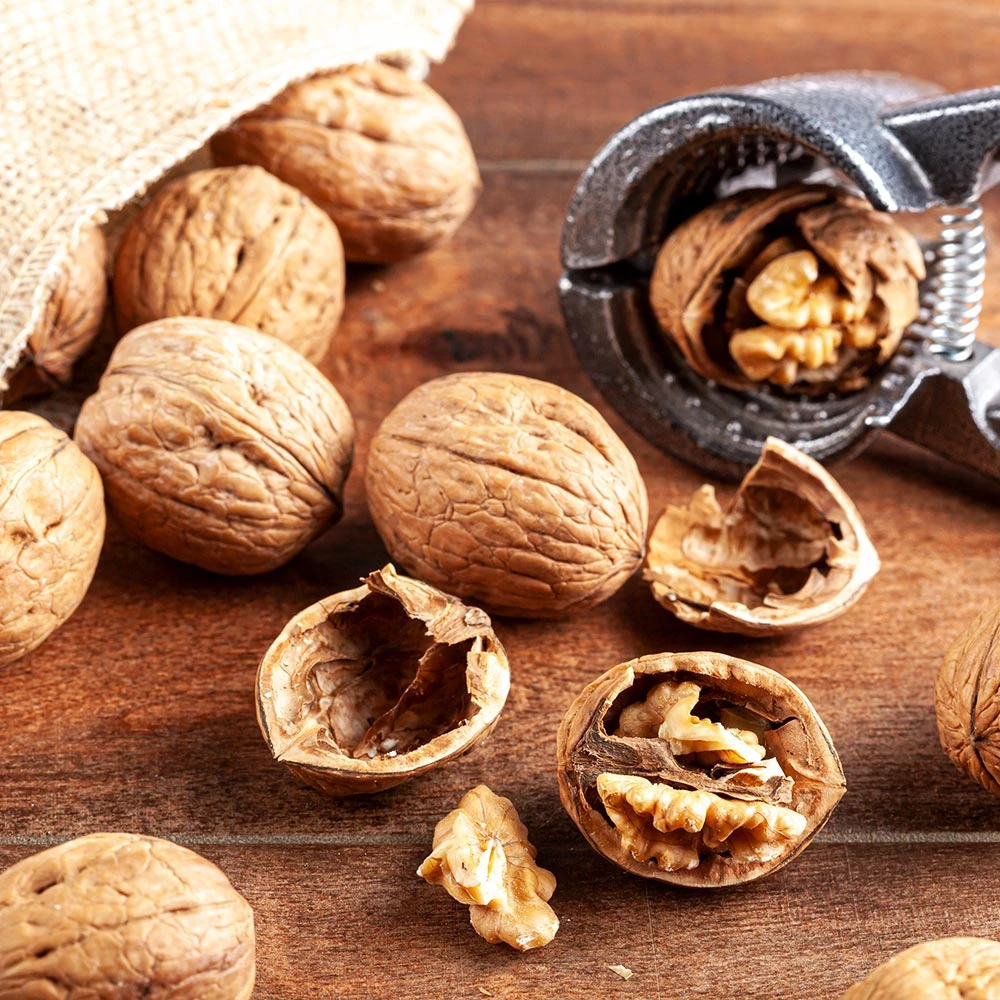 Carpathian English Walnut Tree - Image 5