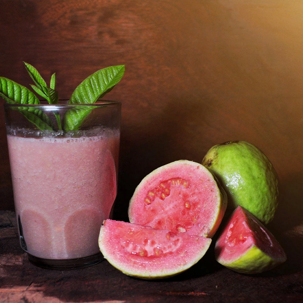 Guava Tree 'Ruby Supreme' - Image 4