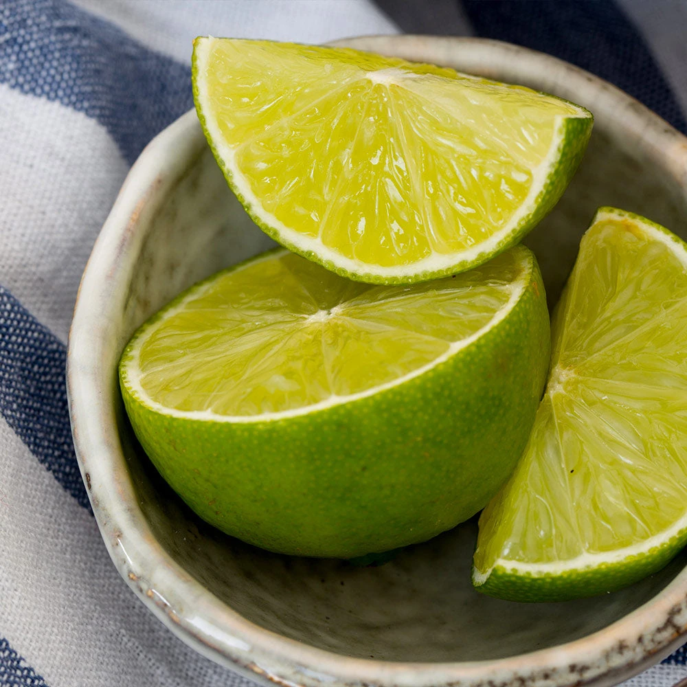 Key Lime Bush - Image 5