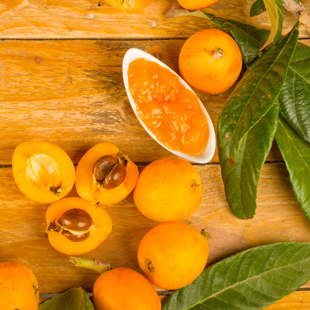 Loquat Tree - Image 5