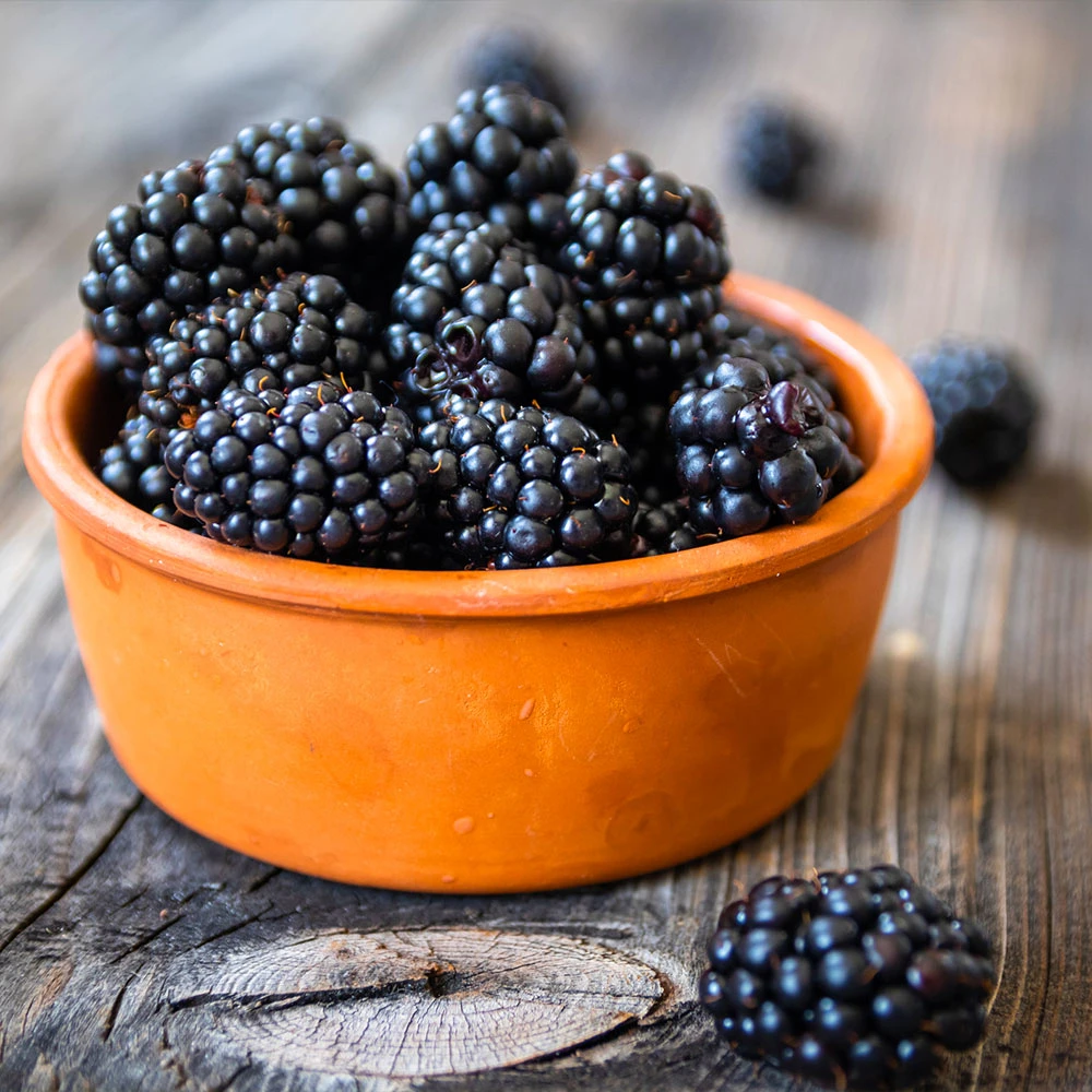 Navaho Blackberry - Image 4