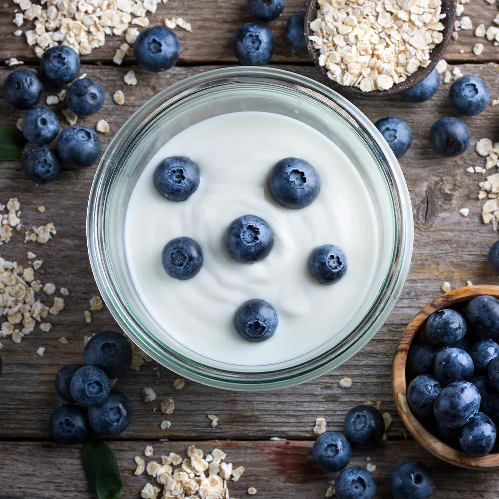 Spartan Blueberry Bush - Image 5