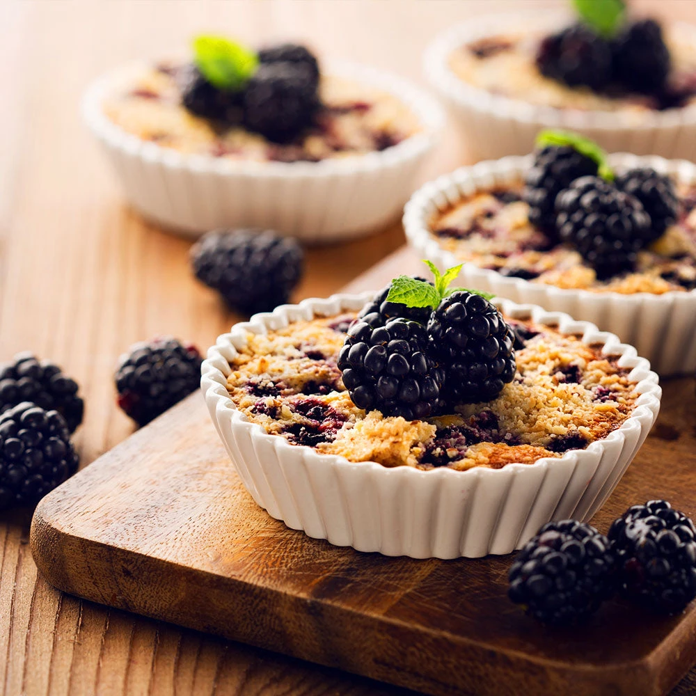 Thornless Blackberry Bush - Image 3